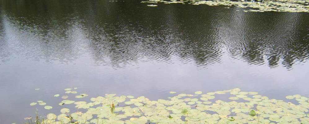 Фотография Филят