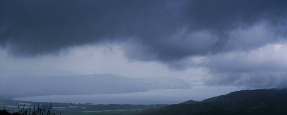 
            Фотография Маагана