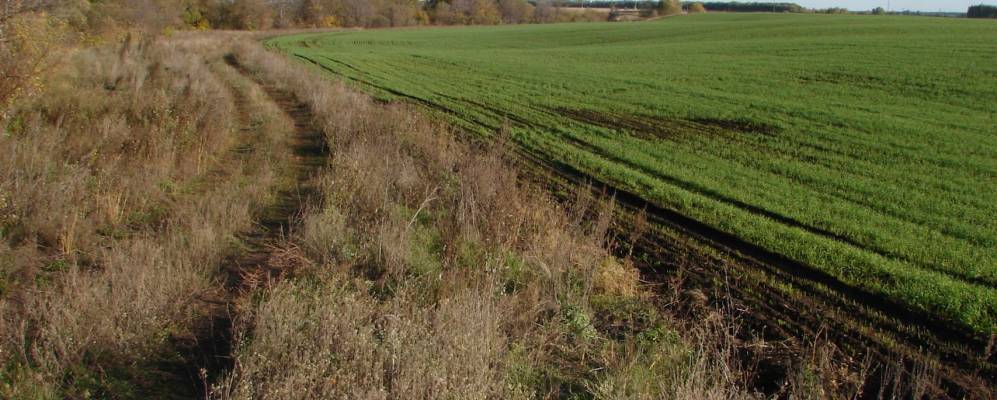 
            Фотография Коптяжево