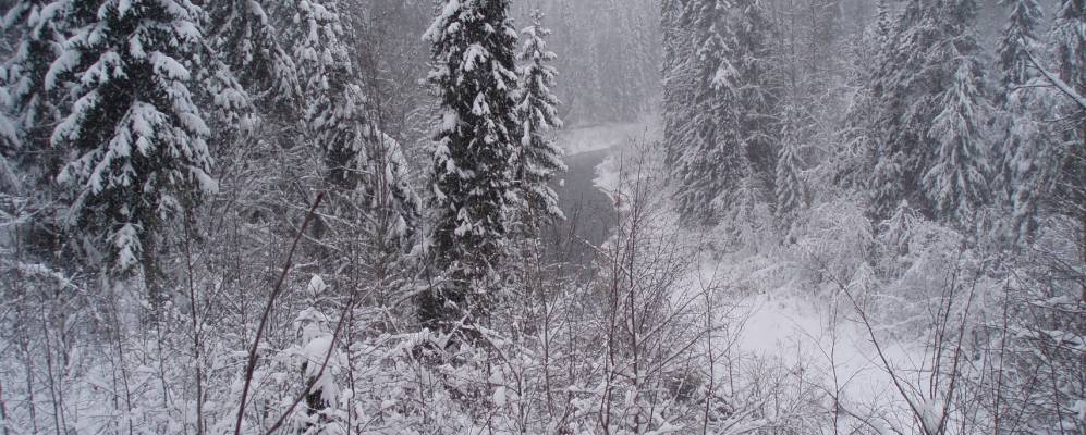 
            Фотография Дедовой Горки