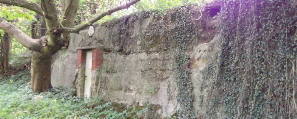 
            Фотография Лютьенбурга