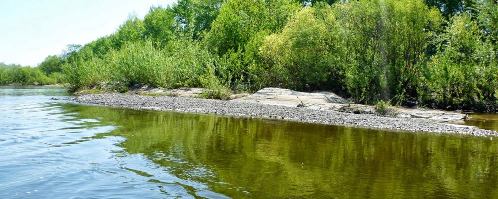 Фотография Никитинки