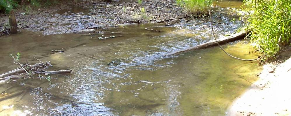 Фотография Кленовой