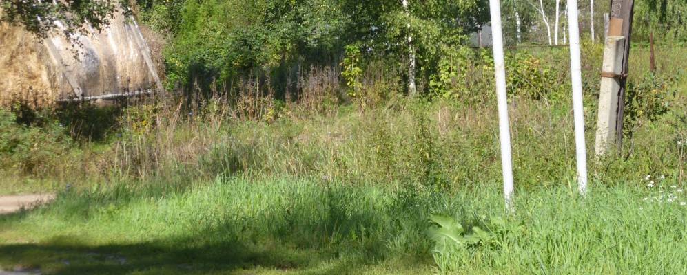 
            Фотография Колобово