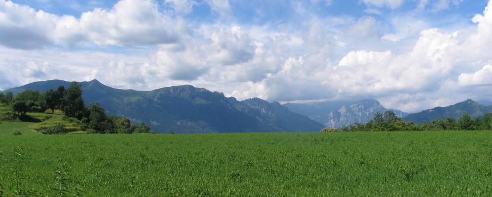 
            Фотография Сироне