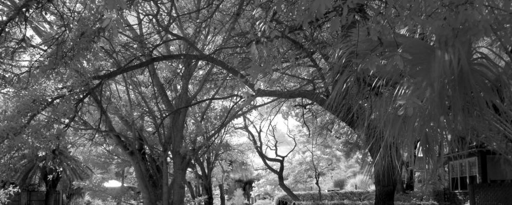 
            Фотография Мельбурн