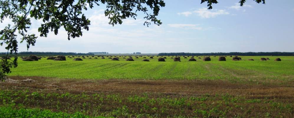 
            Фотография Терешихи