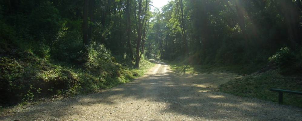 
            Фотография Рожков