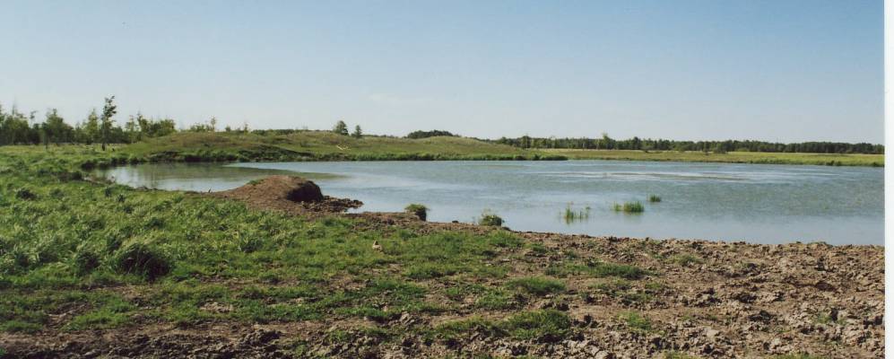 
            Фотография Аполлоновки