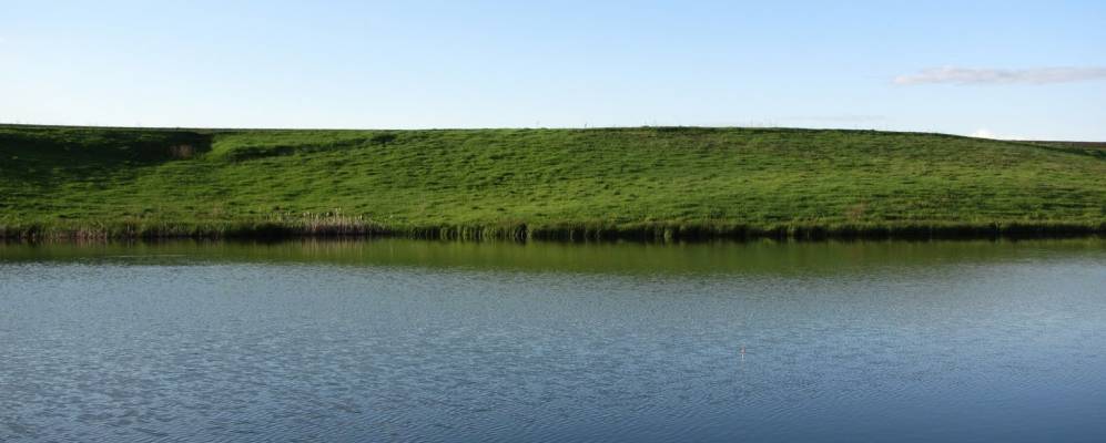 
            Фотография Грушевого