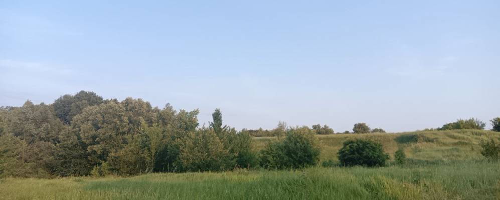 
            Фотография Еленина