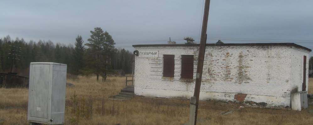 
            Фотография Глухарного