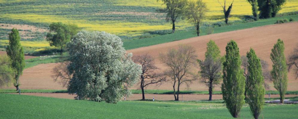 
            Фотография Сент-Ливрад