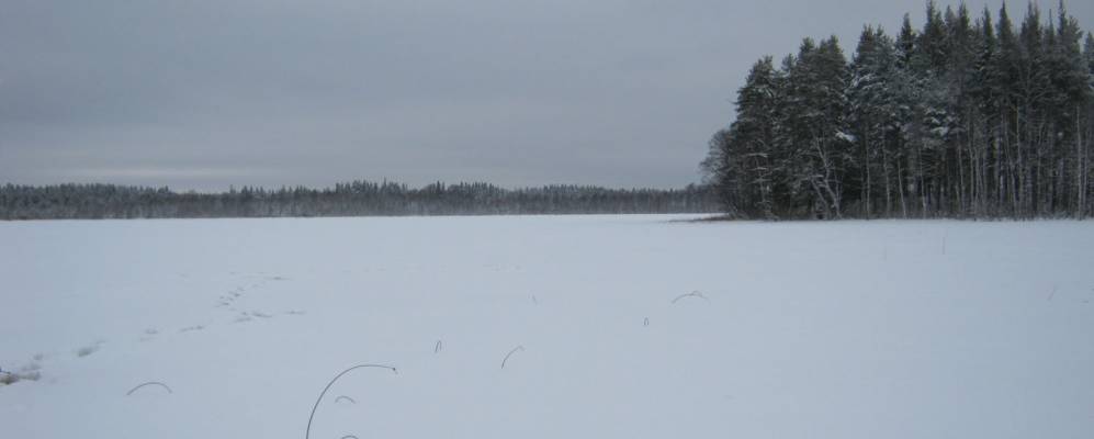 
            Фотография Мякинчино