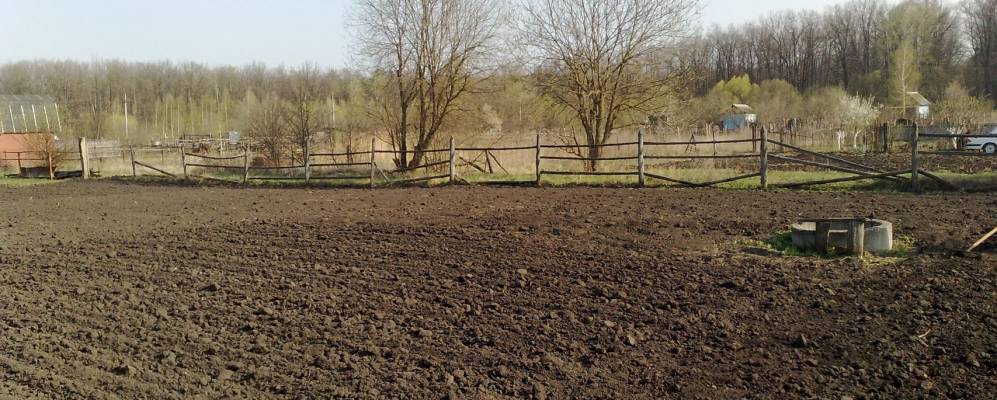 
            Фотография Поляны