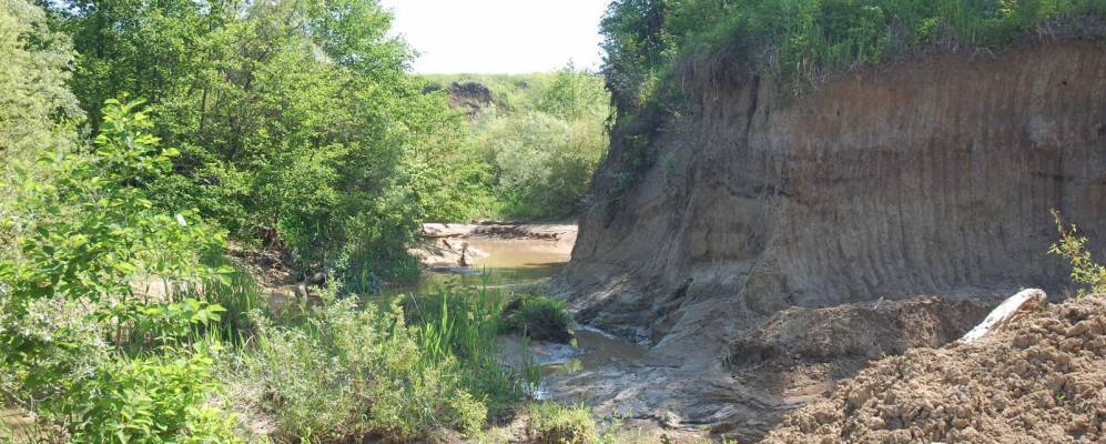 
            Фотография Нового