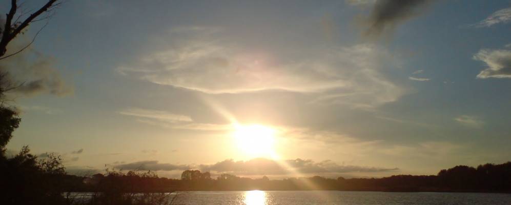 
            Фотография Дубового