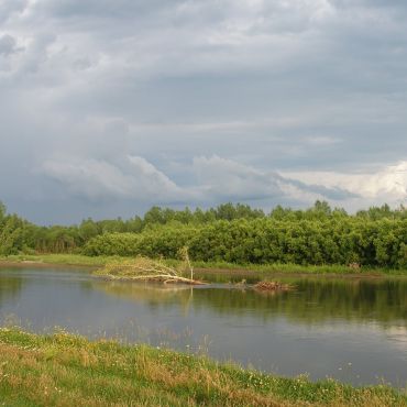 Петропавловское