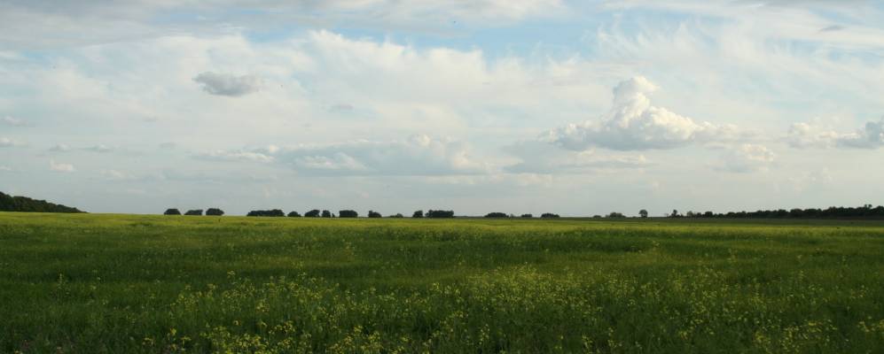 
            Фотография Гирино