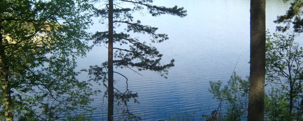 
            Фотография Заречья