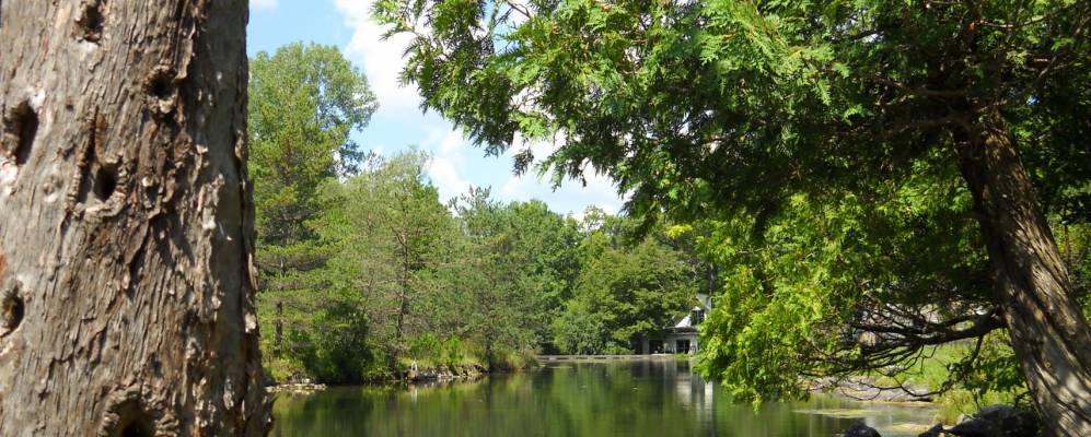 
            Фотография Каледонии