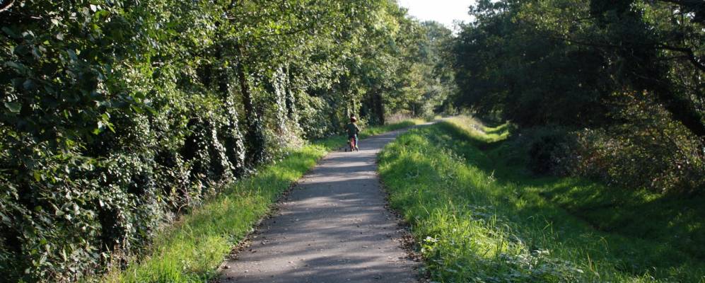 
            Фотография Клайдака