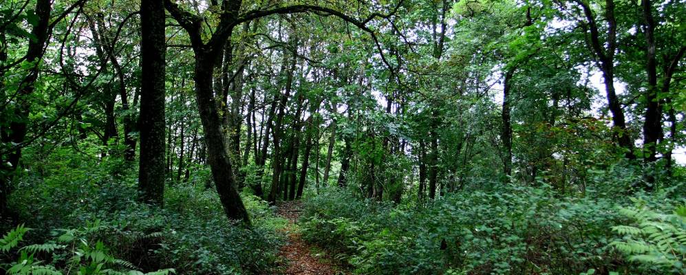 Фотография деревни Кустовичи