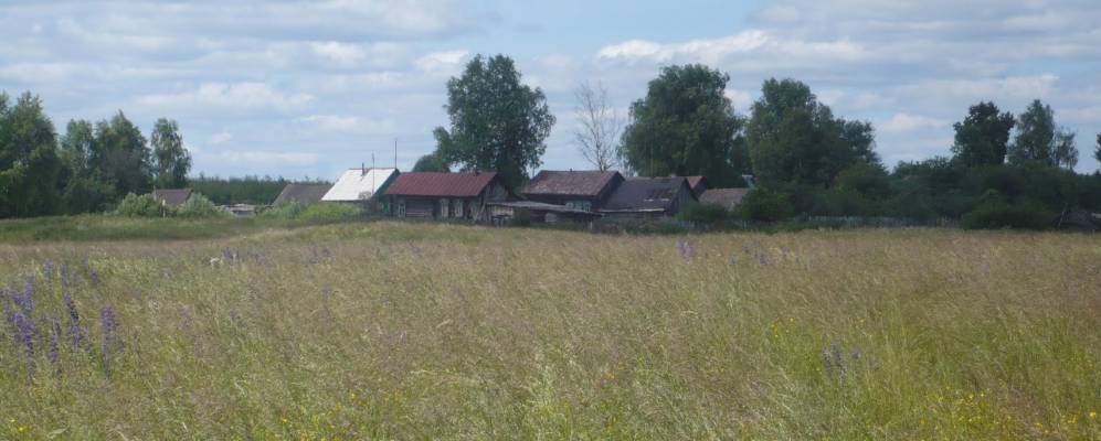 
            Фотография Реброво