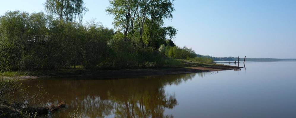 Фотография Трухиняты