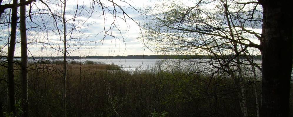 
            Фотография Булавчино