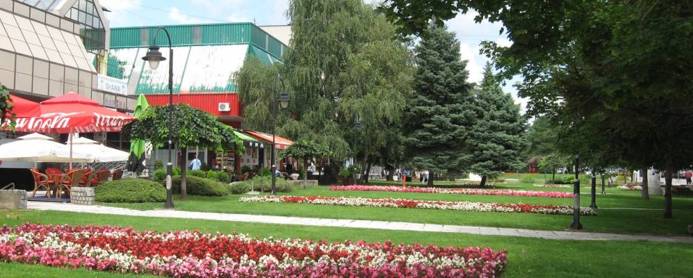 
            Фотография Парачина