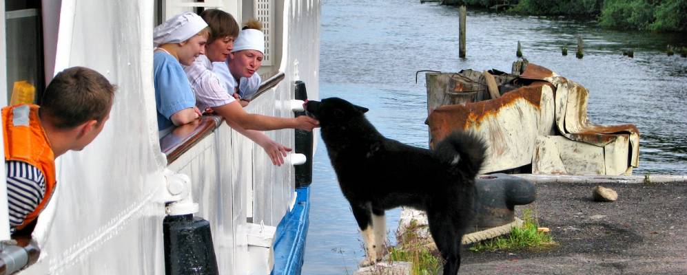 
            Фотография Пыряево