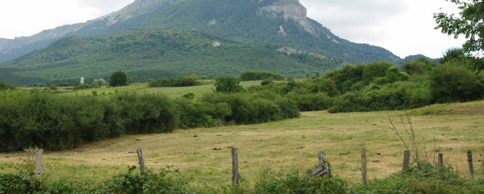 
            Фотография Арбису