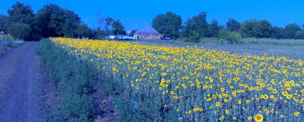 
            Фотография Затишья