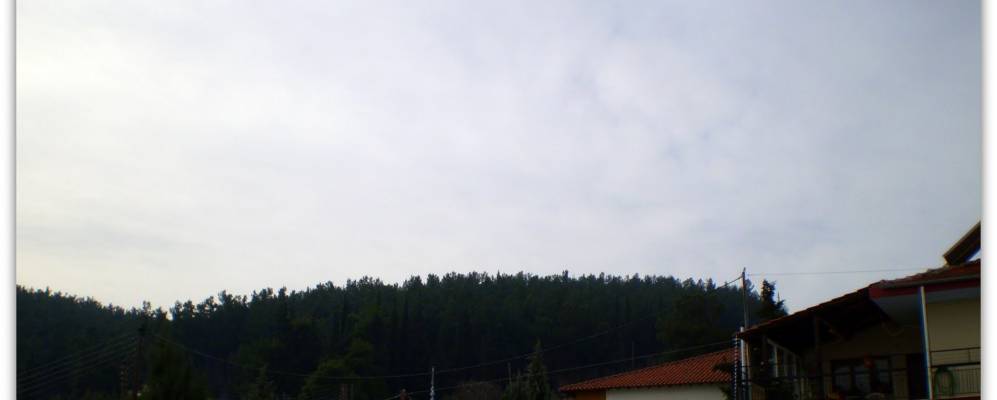 
            Фотография Лити