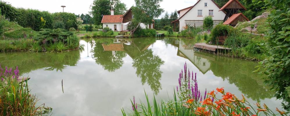 
            Фотография Салковице