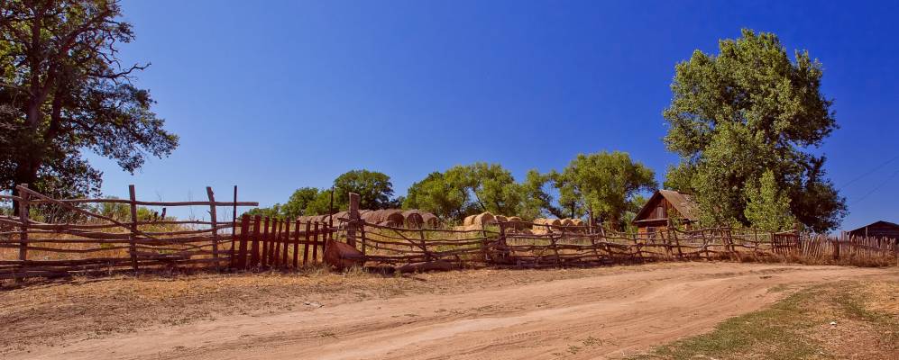 
            Фотография Барбашей