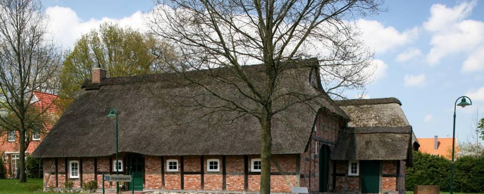 
            Фотография Шиффдорфа