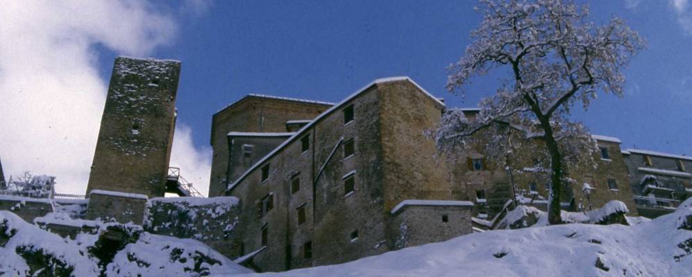 
            Фотография Форче