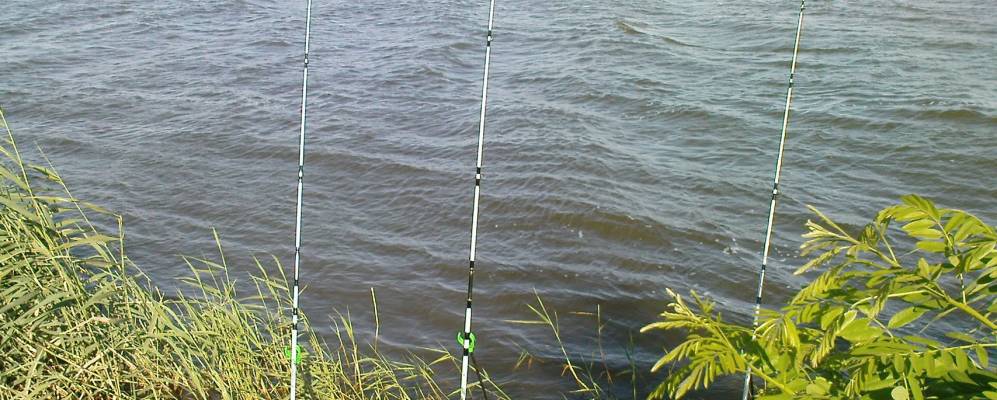 
            Фотография хутора Базки