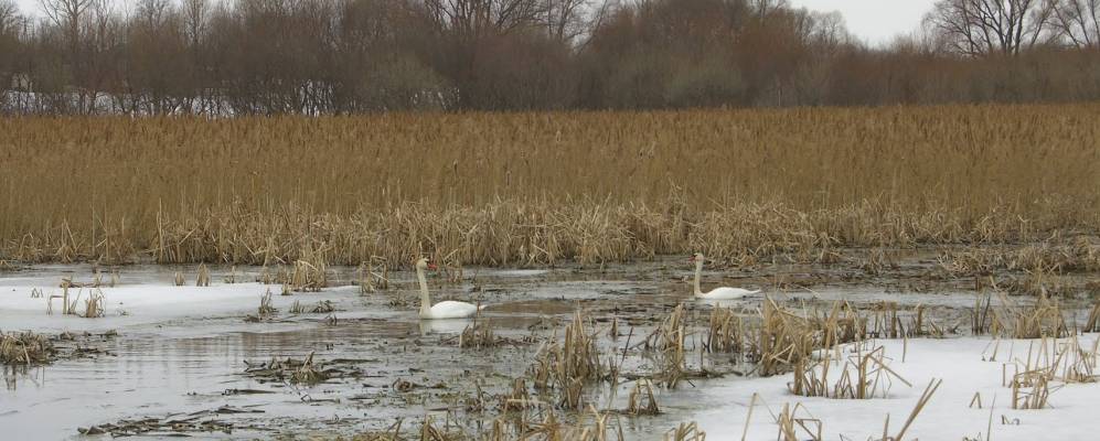 
            Фотография села Петровки