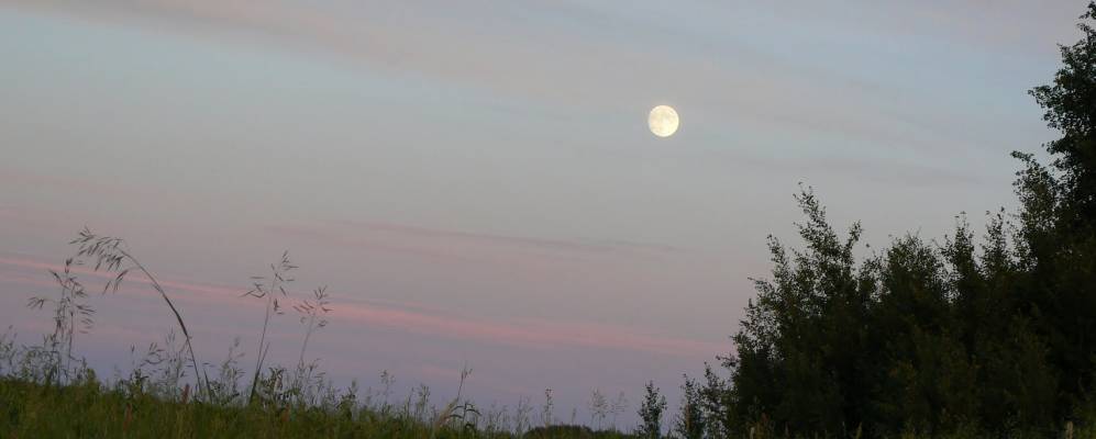 
            Фотография Нестеровки