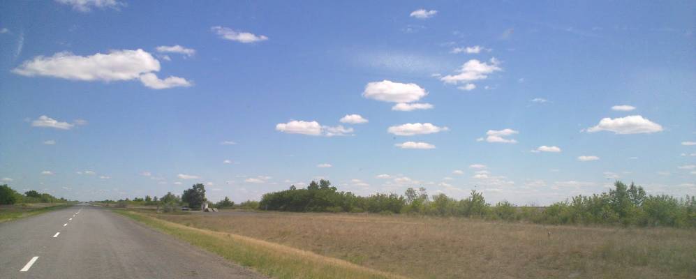 
            Фотография Коряковки