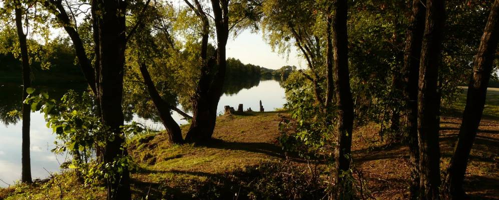 
            Фотография Пушкарного