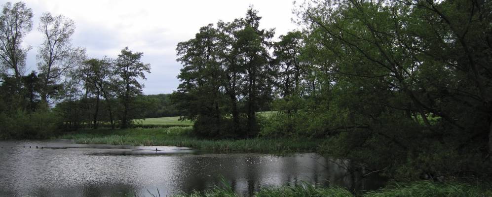 
            Фотография Маркфилда