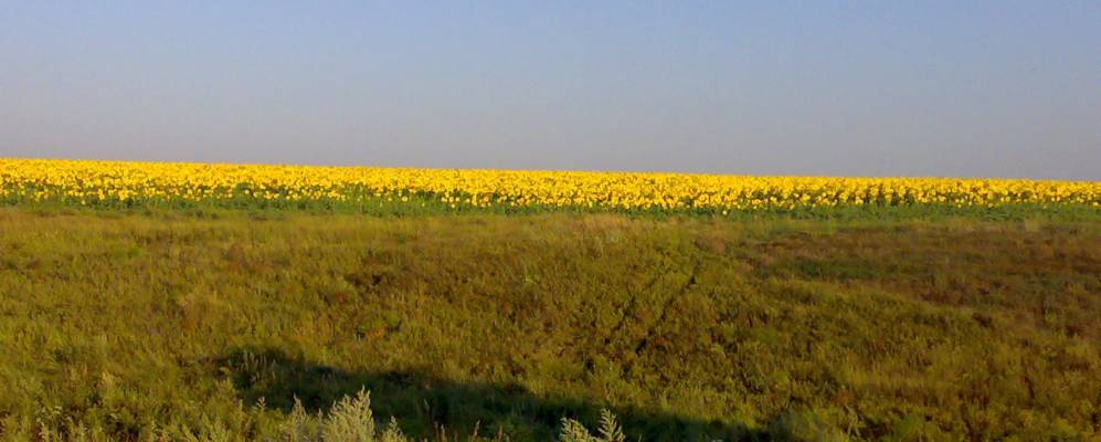 
            Фотография Александровки