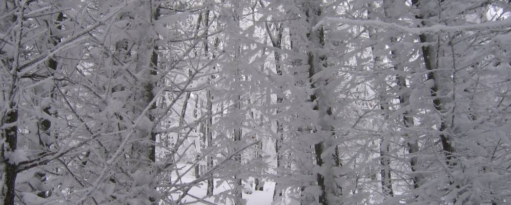 
            Фотография Келбраы