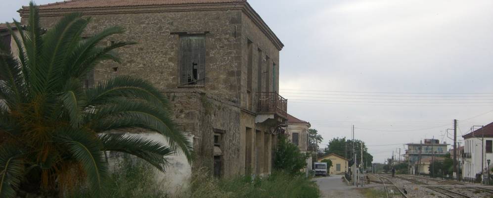 
            Фотография Андравиды