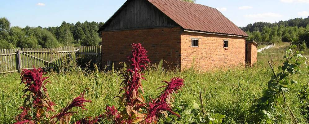 
            Фотография Ставровки