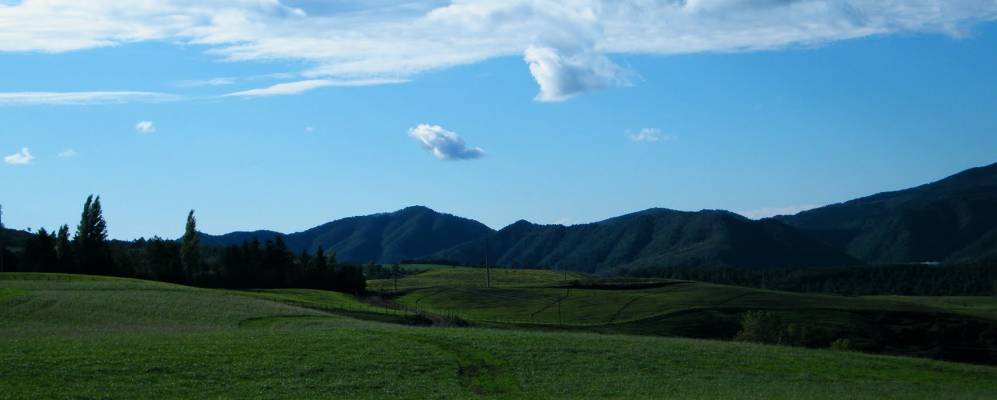 
            Фотография Брусцоли